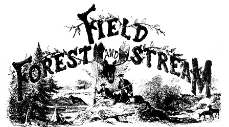 ffssticlogoallanimalsSMALLEMAIL.jpg